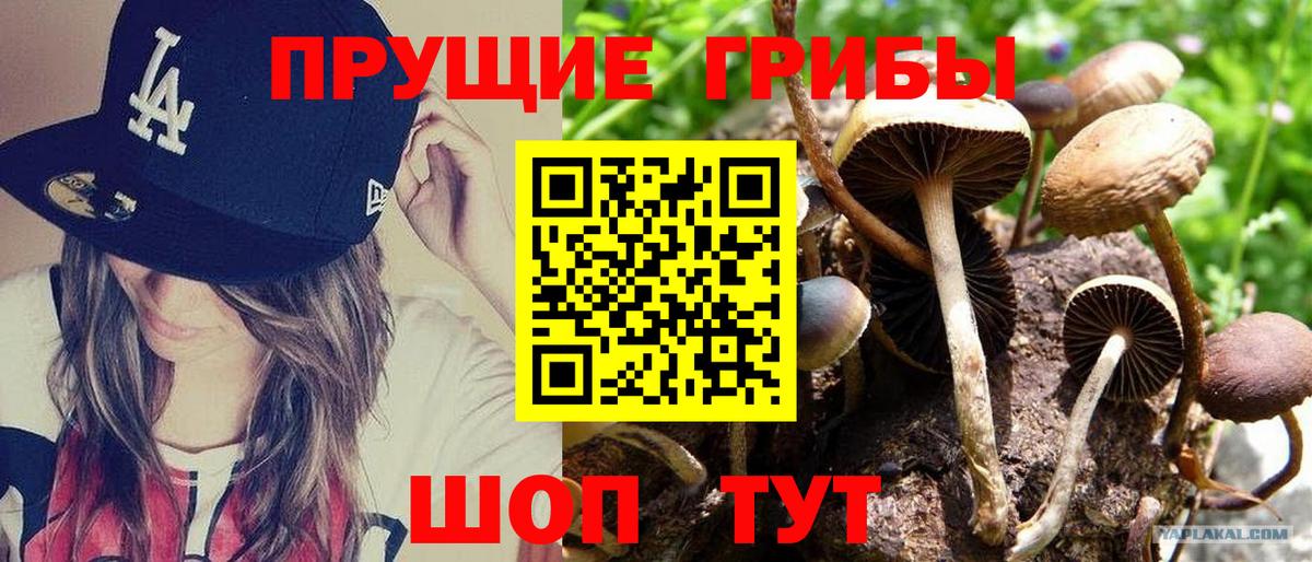 Псилоцибиновые грибы ЛСД Ярославль
