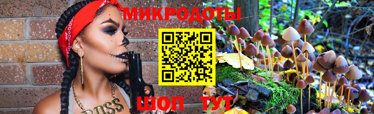 цены наркотик  Вход с VPN  Ярославль  Псилоцибиновые грибы мицелий 